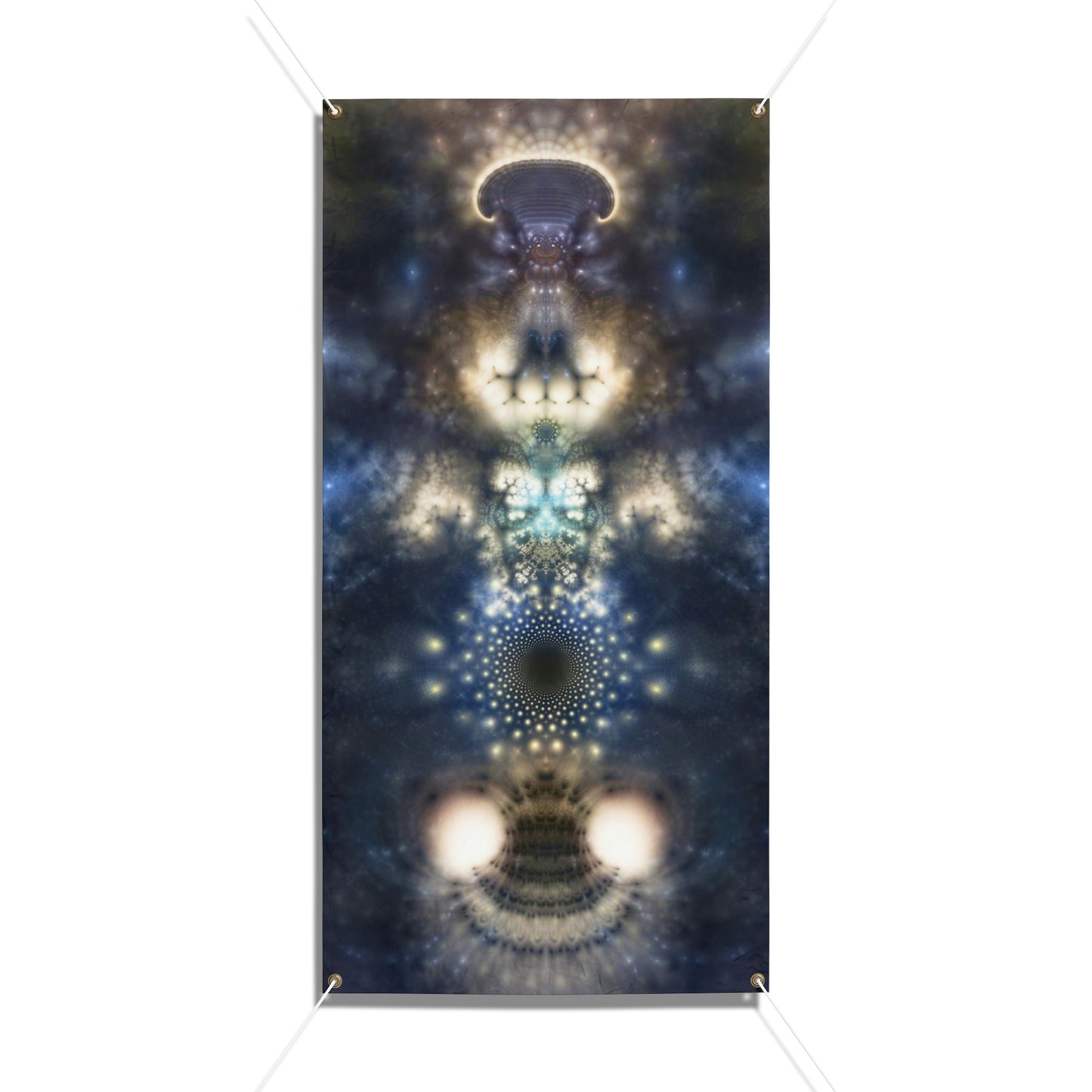 "Pareidolia" Vinyl Banners